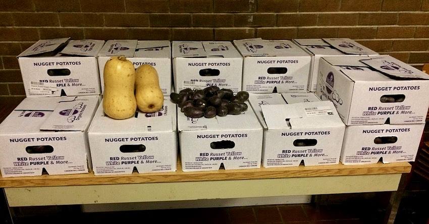 Boxes of food donations from the food bank